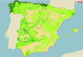 Biomasa forestal en España